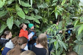 Exkursionen in den Botanischen Garten