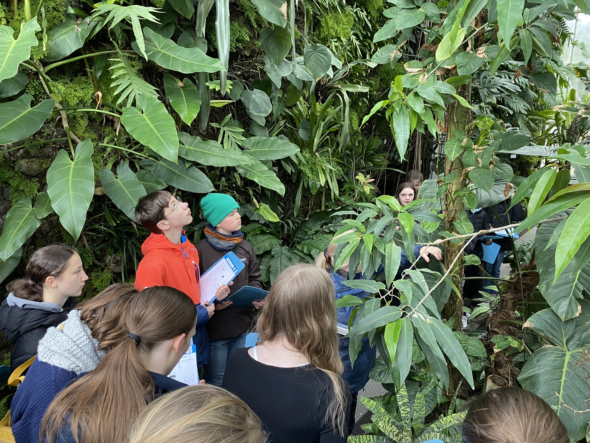 Exkursionen in den Botanischen Garten