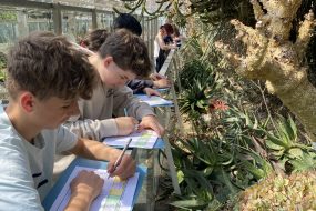Besuch der 7. Klassen der Latina im Botanischen Garten Halle: Eine Reise durch die Pflanzenwelten