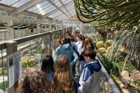 Auf Expedition durch die Vegetationszonen: Die 7. Klassen im Botanischen Garten