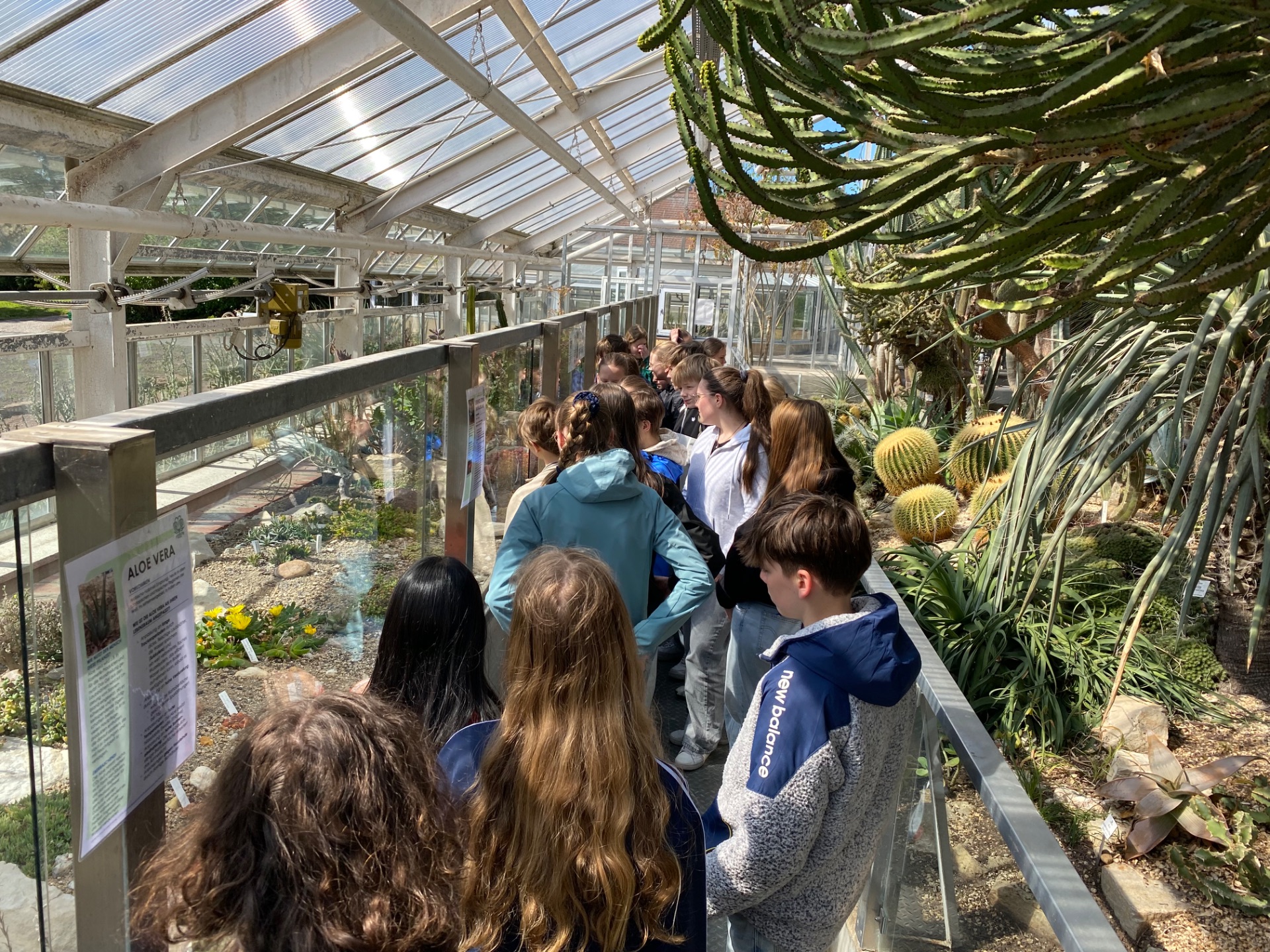 Auf Expedition durch die Vegetationszonen: Die 7. Klassen im Botanischen Garten